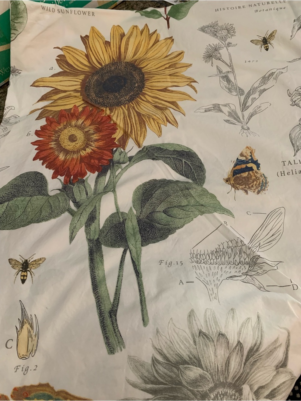 POTTERY BARN QUEEN DUVET AND 3 SHAMS - LIKE NEW